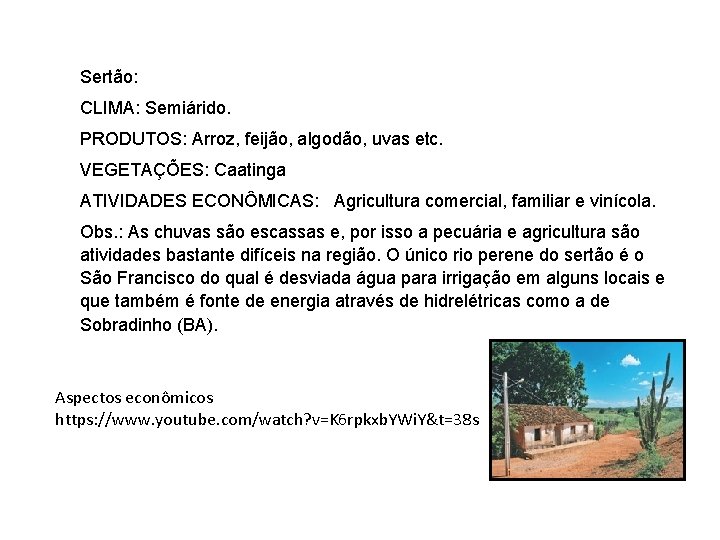 Sertão: CLIMA: Semiárido. PRODUTOS: Arroz, feijão, algodão, uvas etc. VEGETAÇÕES: Caatinga ATIVIDADES ECONÔMICAS: Agricultura