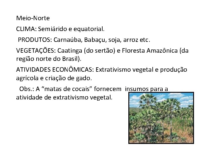 Meio-Norte CLIMA: Semiárido e equatorial. PRODUTOS: Carnaúba, Babaçu, soja, arroz etc. VEGETAÇÕES: Caatinga (do