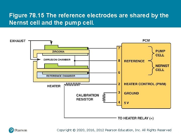 Figure 78. 15 The reference electrodes are shared by the Nernst cell and the