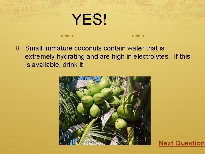 YES! Small immature coconuts contain water that is extremely hydrating and are high in