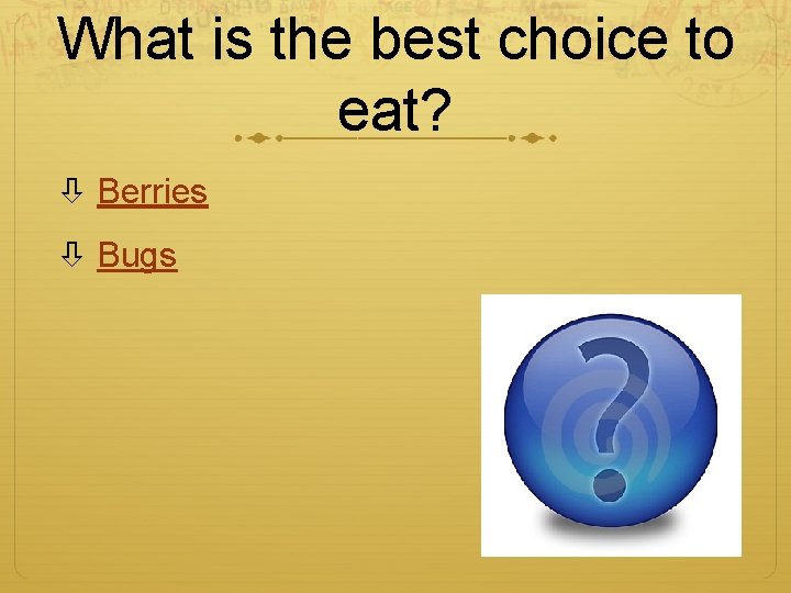 What is the best choice to eat? Berries Bugs 