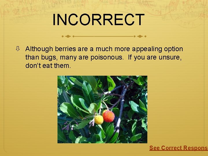 INCORRECT Although berries are a much more appealing option than bugs, many are poisonous.