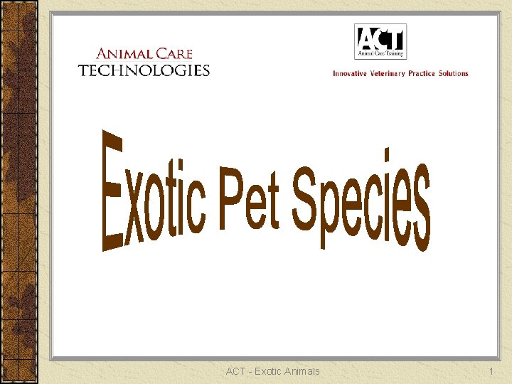 ACT - Exotic Animals 1 