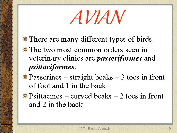 AVIAN There are many different types of birds. The two most common orders seen