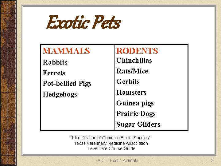 Exotic Pets MAMMALS RODENTS Rabbits Ferrets Pot-bellied Pigs Hedgehogs Chinchillas Rats/Mice Gerbils Hamsters Guinea