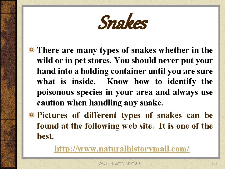 Snakes There are many types of snakes whether in the wild or in pet