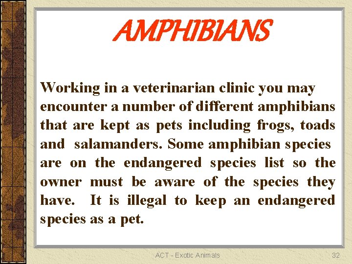 AMPHIBIANS Working in a veterinarian clinic you may encounter a number of different amphibians