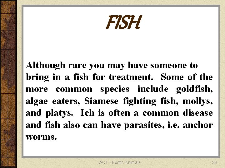 FISH Although rare you may have someone to bring in a fish for treatment.