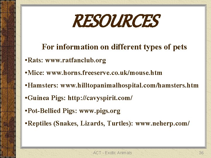 RESOURCES For information on different types of pets • Rats: www. ratfanclub. org •