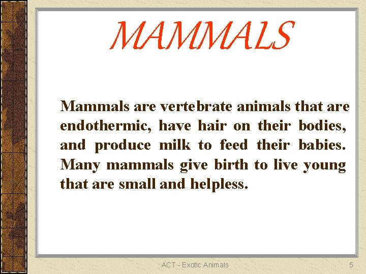 MAMMALS Mammals are vertebrate animals that are endothermic, have hair on their bodies, and