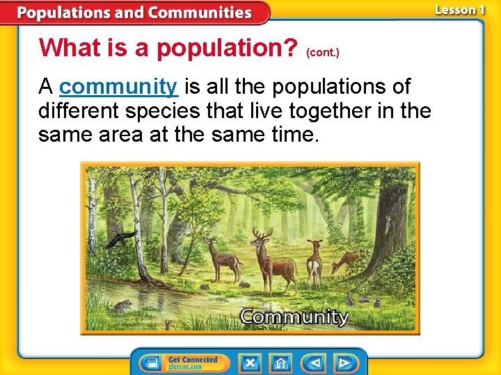 What is a population? (cont. ) A community is all the populations of different