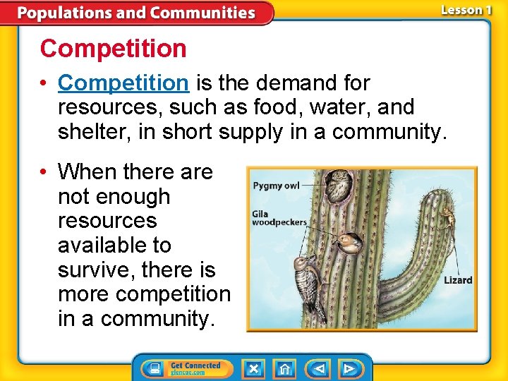 Competition • Competition is the demand for resources, such as food, water, and shelter,