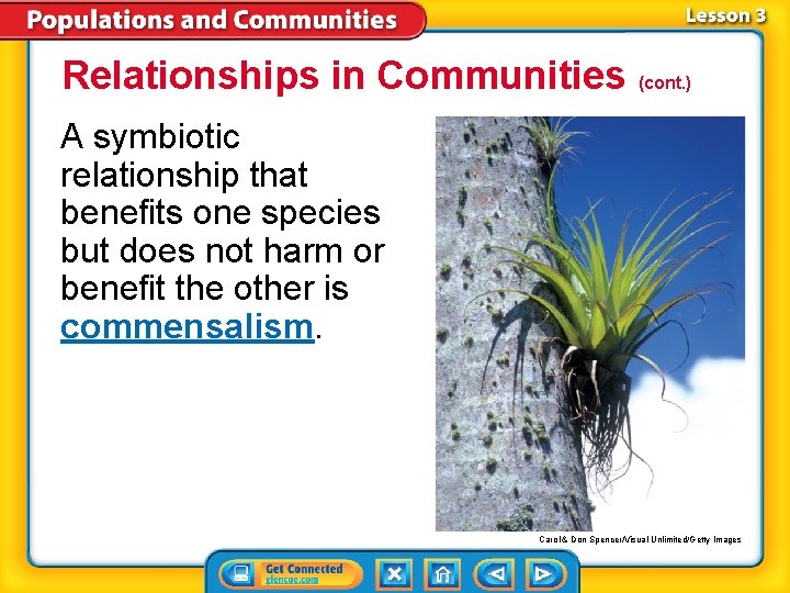 Relationships in Communities (cont. ) A symbiotic relationship that benefits one species but does