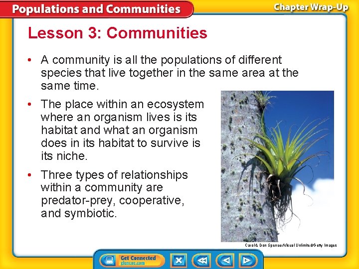 Lesson 3: Communities • A community is all the populations of different species that