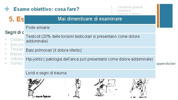 + Esame obiettivo: cosa fare? 1. 2. 3. 4. 5. 6. Condizioni generali Anamnesi