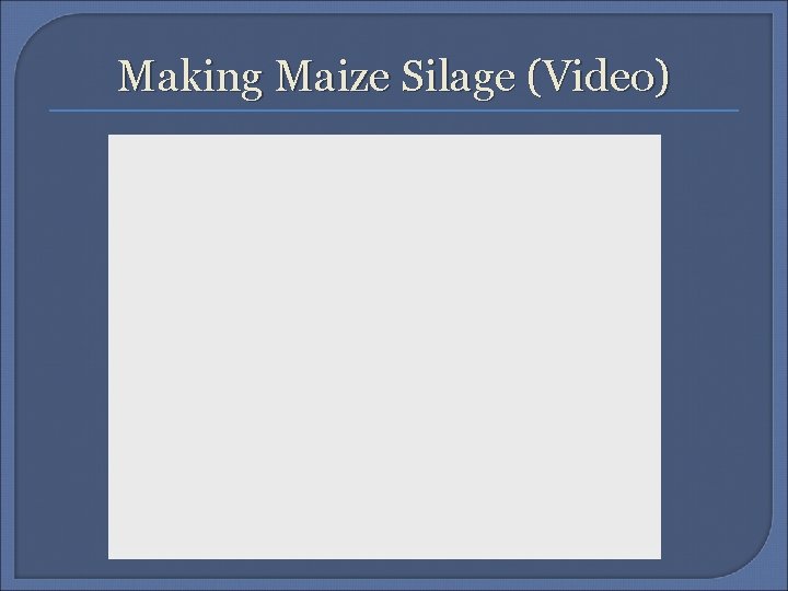 Making Maize Silage (Video) 