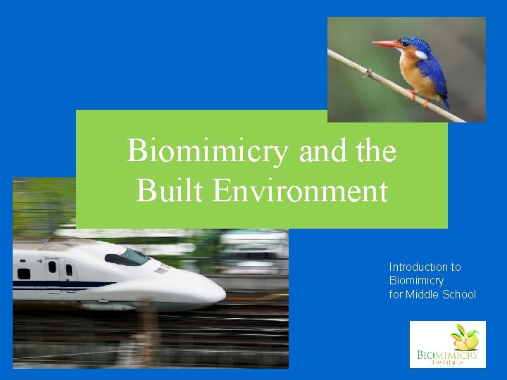 Biomimicry and the Built Environment Introduction to Biomimicry for Middle School 