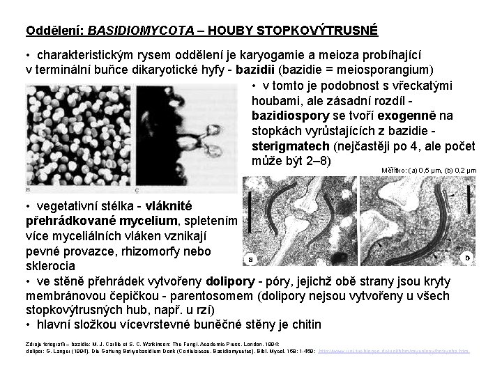 Oddělení: BASIDIOMYCOTA – HOUBY STOPKOVÝTRUSNÉ • charakteristickým rysem oddělení je karyogamie a meioza probíhající