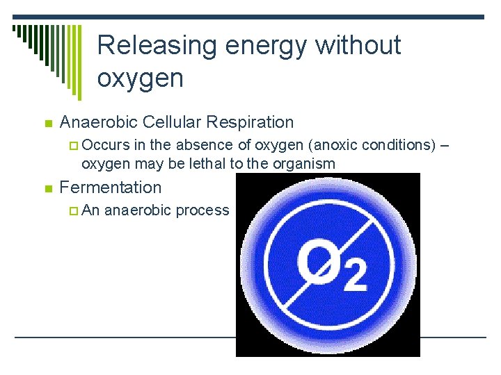 Releasing energy without oxygen n Anaerobic Cellular Respiration p Occurs in the absence of