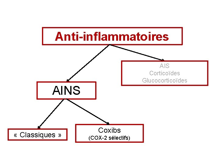 Pharmacologie Clinique des AntiInflammatoires Non Strodiens AINS NSAID