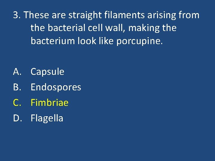 3. These are straight filaments arising from the bacterial cell wall, making the bacterium