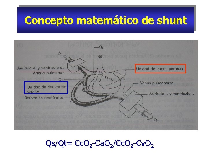 Concepto matemático de shunt Qs/Qt= Cc. O 2 -Ca. O 2/Cc. O 2 -Cv.