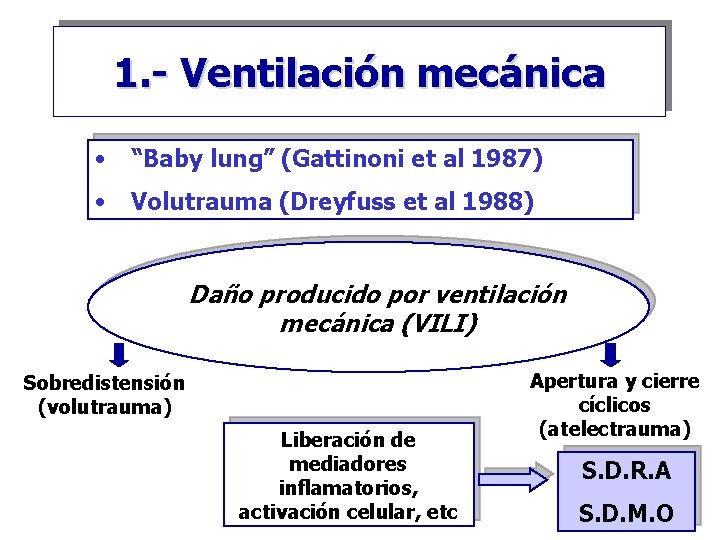 1. - Ventilación mecánica • “Baby lung” (Gattinoni et al 1987) • Volutrauma (Dreyfuss