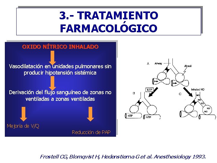 3. - TRATAMIENTO FARMACOLÓGICO OXIDO NÍTRICO INHALADO Vasodilatación en unidades pulmonares sin producir hipotensión