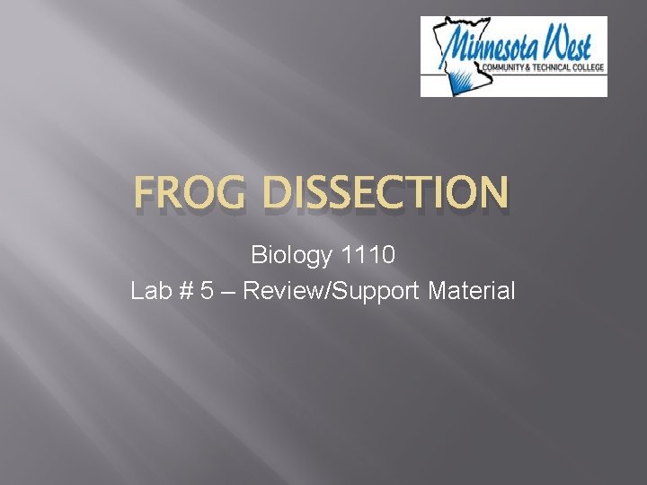 FROG DISSECTION Biology 1110 Lab # 5 – Review/Support Material 