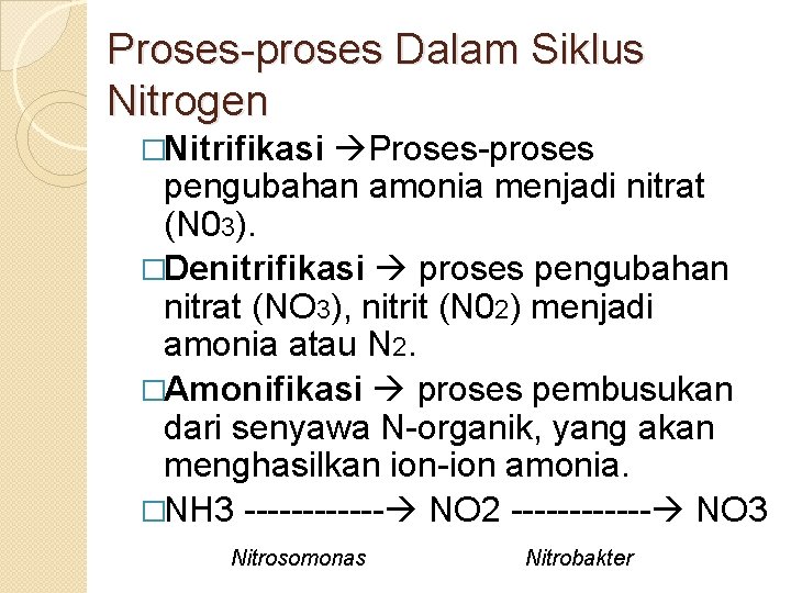Proses-proses Dalam Siklus Nitrogen �Nitrifikasi Proses-proses pengubahan amonia menjadi nitrat (N 03). �Denitrifikasi proses