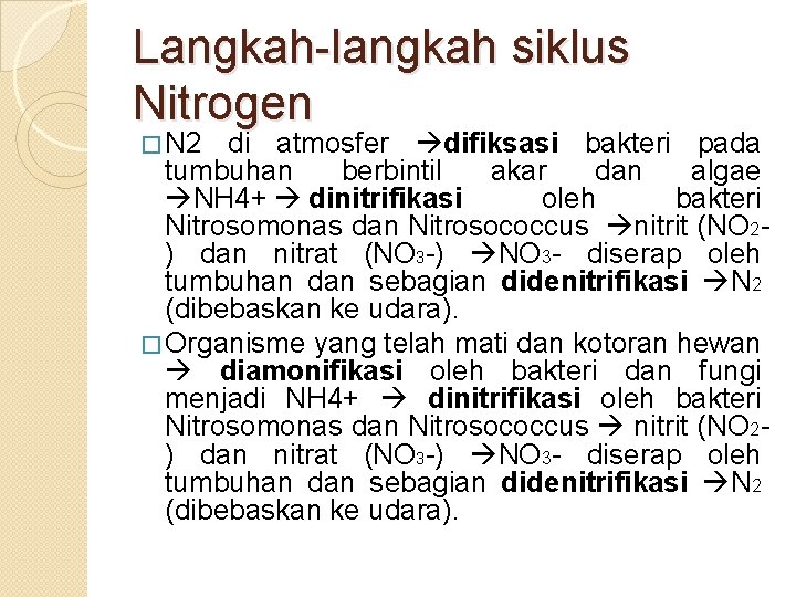 Langkah-langkah siklus Nitrogen � N 2 di atmosfer difiksasi bakteri pada tumbuhan berbintil akar