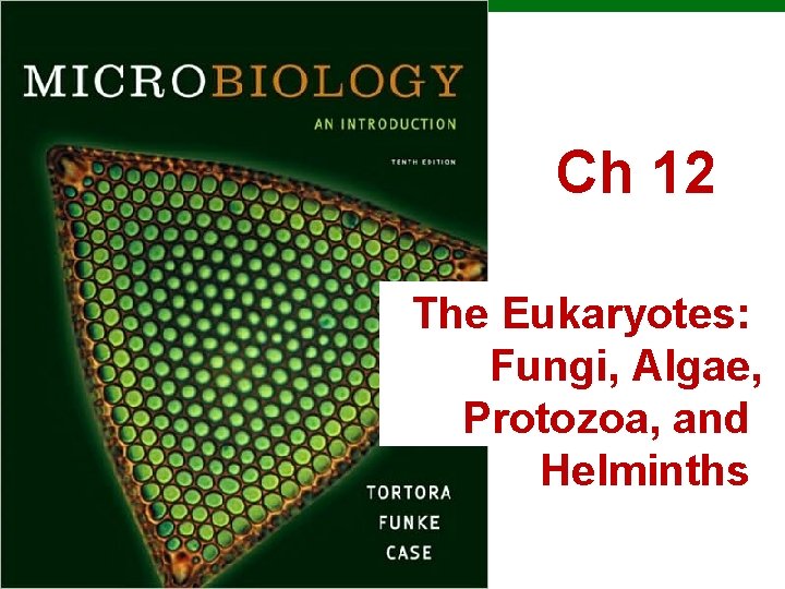 Ch 12 The Eukaryotes: Fungi, Algae, Protozoa, and Helminths Copyright © 2010 Pearson Education,