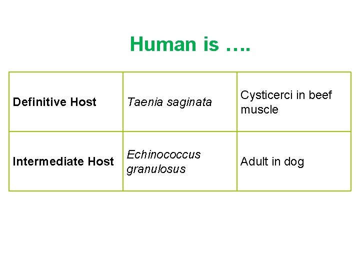 Human as Human is …. Definitive Host Taenia saginata Cysticerci in beef muscle Intermediate