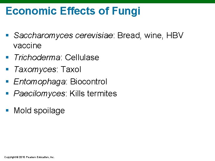 Economic Effects of Fungi § Saccharomyces cerevisiae: Bread, wine, HBV vaccine § Trichoderma: Cellulase