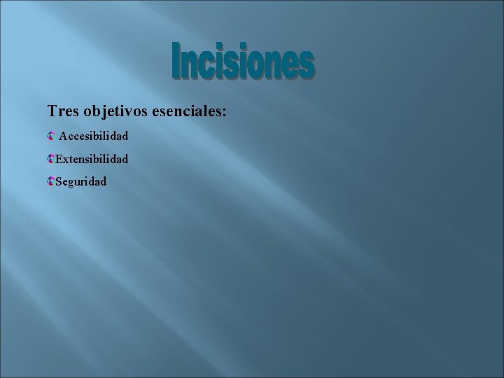  Tres objetivos esenciales: Accesibilidad Extensibilidad Seguridad 