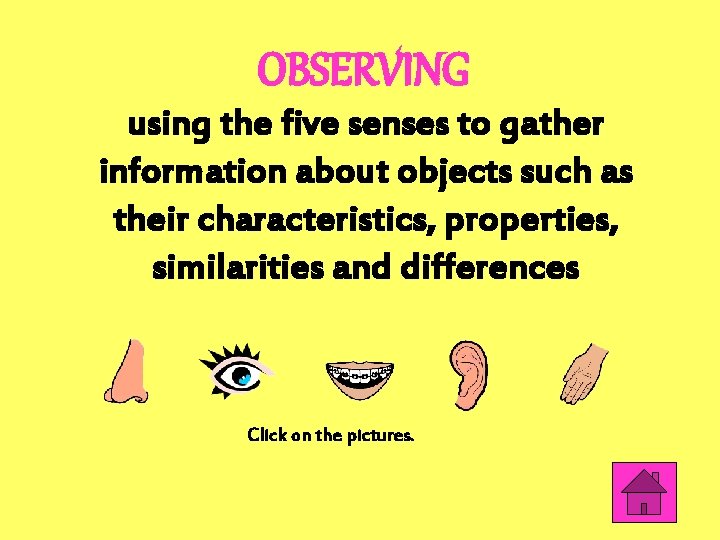 OBSERVING using the five senses to gather information about objects such as their characteristics,