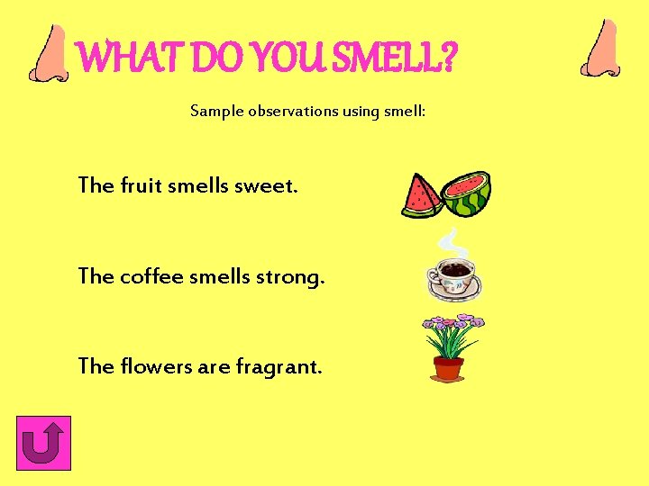 WHAT DO YOU SMELL? Sample observations using smell: The fruit smells sweet. The coffee