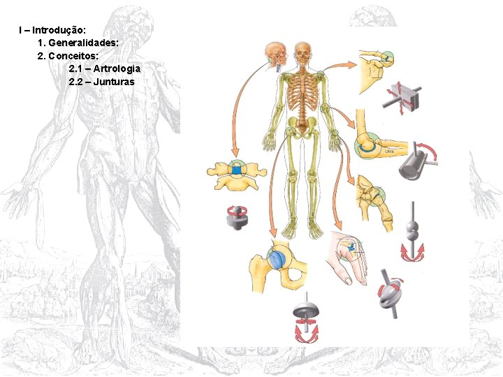 I – Introdução: 1. Generalidades: 2. Conceitos: 2. 1 – Artrologia 2. 2 –