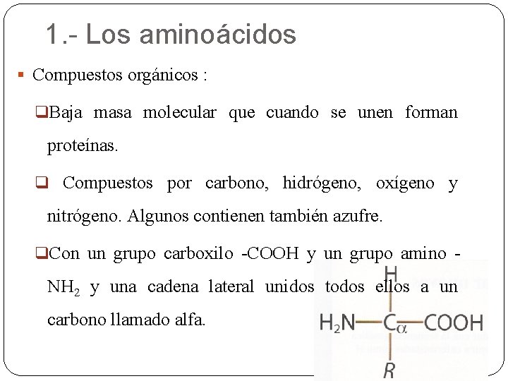 1. - Los aminoácidos § Compuestos orgánicos : q. Baja masa molecular que cuando