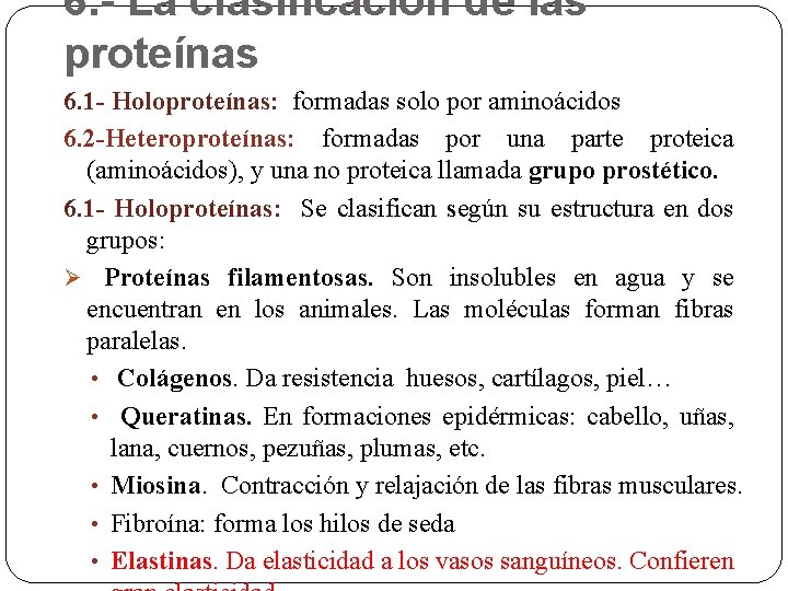 6. - La clasificación de las proteínas 6. 1 - Holoproteínas: formadas solo por