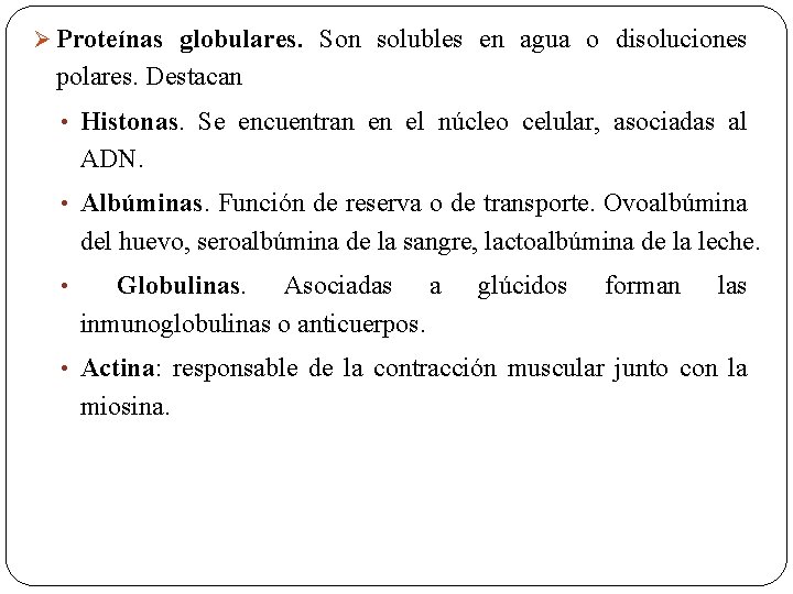 Ø Proteínas globulares. Son solubles en agua o disoluciones polares. Destacan • Histonas. Se