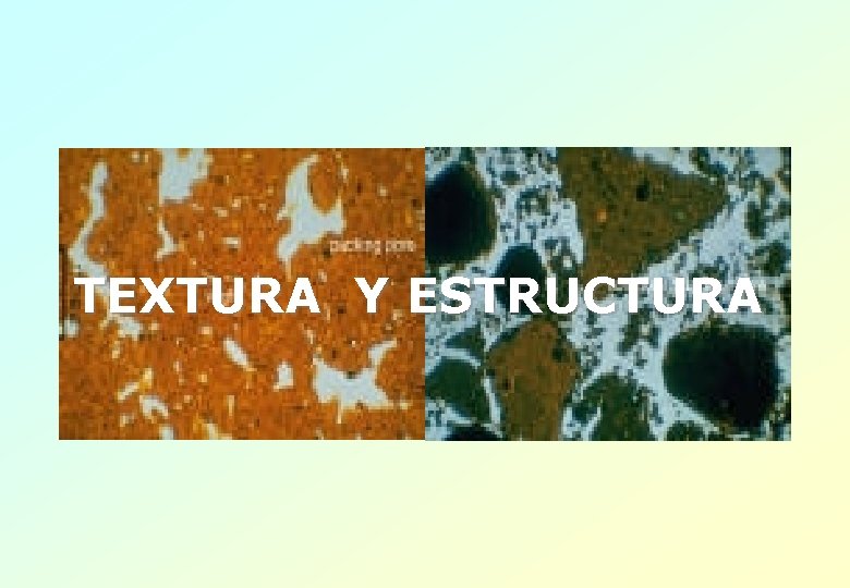 TEXTURA Y ESTRUCTURA 