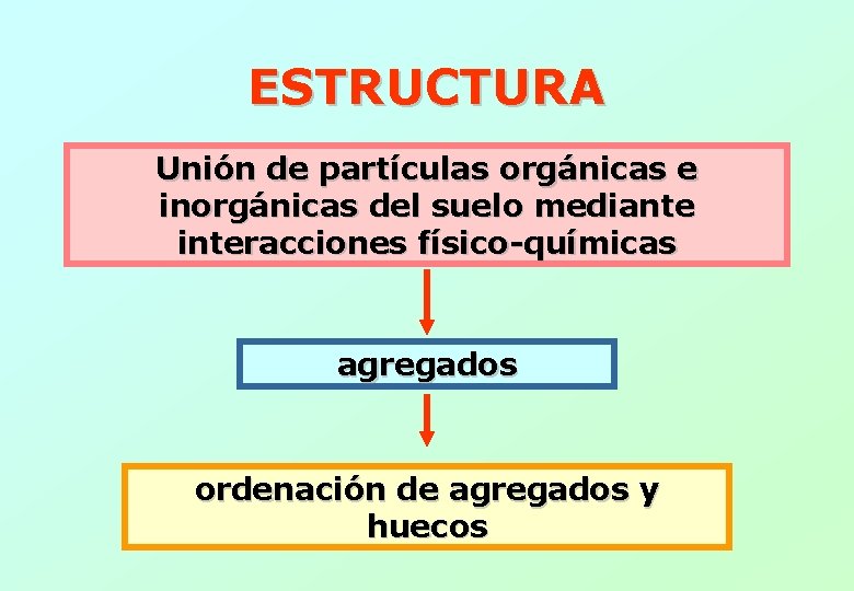 ESTRUCTURA Unión de partículas orgánicas e inorgánicas del suelo mediante interacciones físico-químicas agregados ordenación