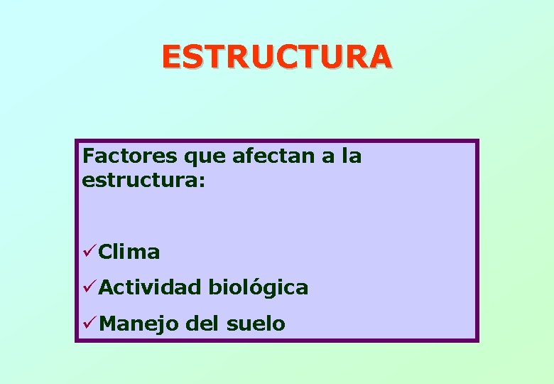 ESTRUCTURA Factores que afectan a la estructura: üClima üActividad biológica üManejo del suelo 