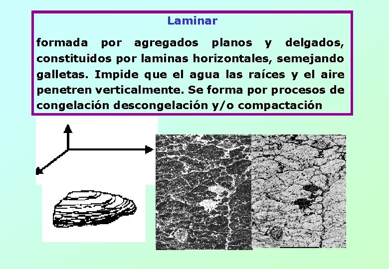 Laminar formada por agregados planos y delgados, constituidos por laminas horizontales, semejando galletas. Impide