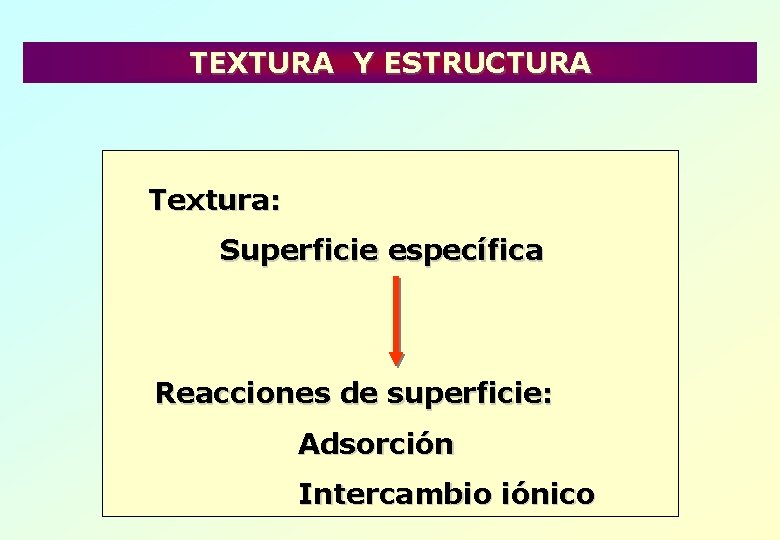 TEXTURA Y ESTRUCTURA Textura: Superficie específica Reacciones de superficie: Adsorción Intercambio iónico 