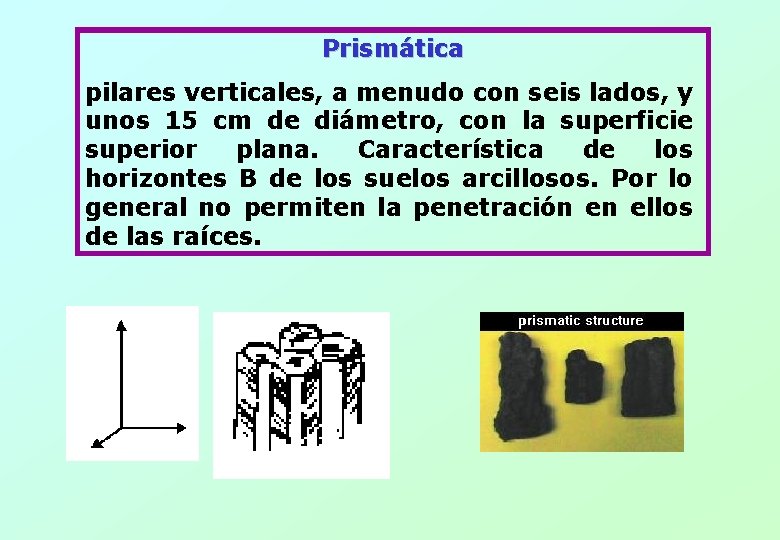 Prismática pilares verticales, a menudo con seis lados, y unos 15 cm de diámetro,