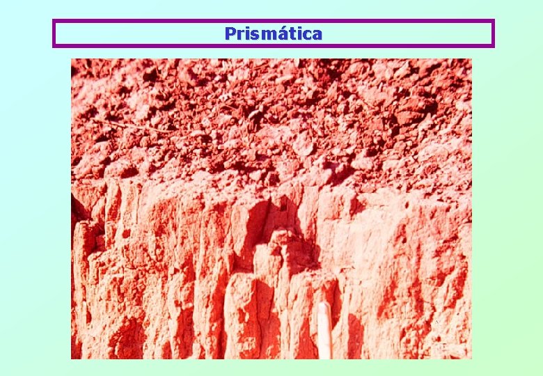 Prismática 