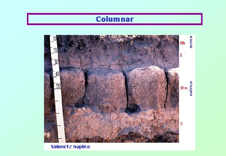 Columnar 