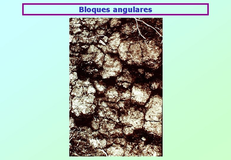 Bloques angulares 